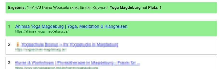 Google Ranking Check Ergebnis