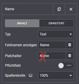 Elementor Form - Platzhalter löschen