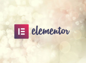 Elementor free und pro